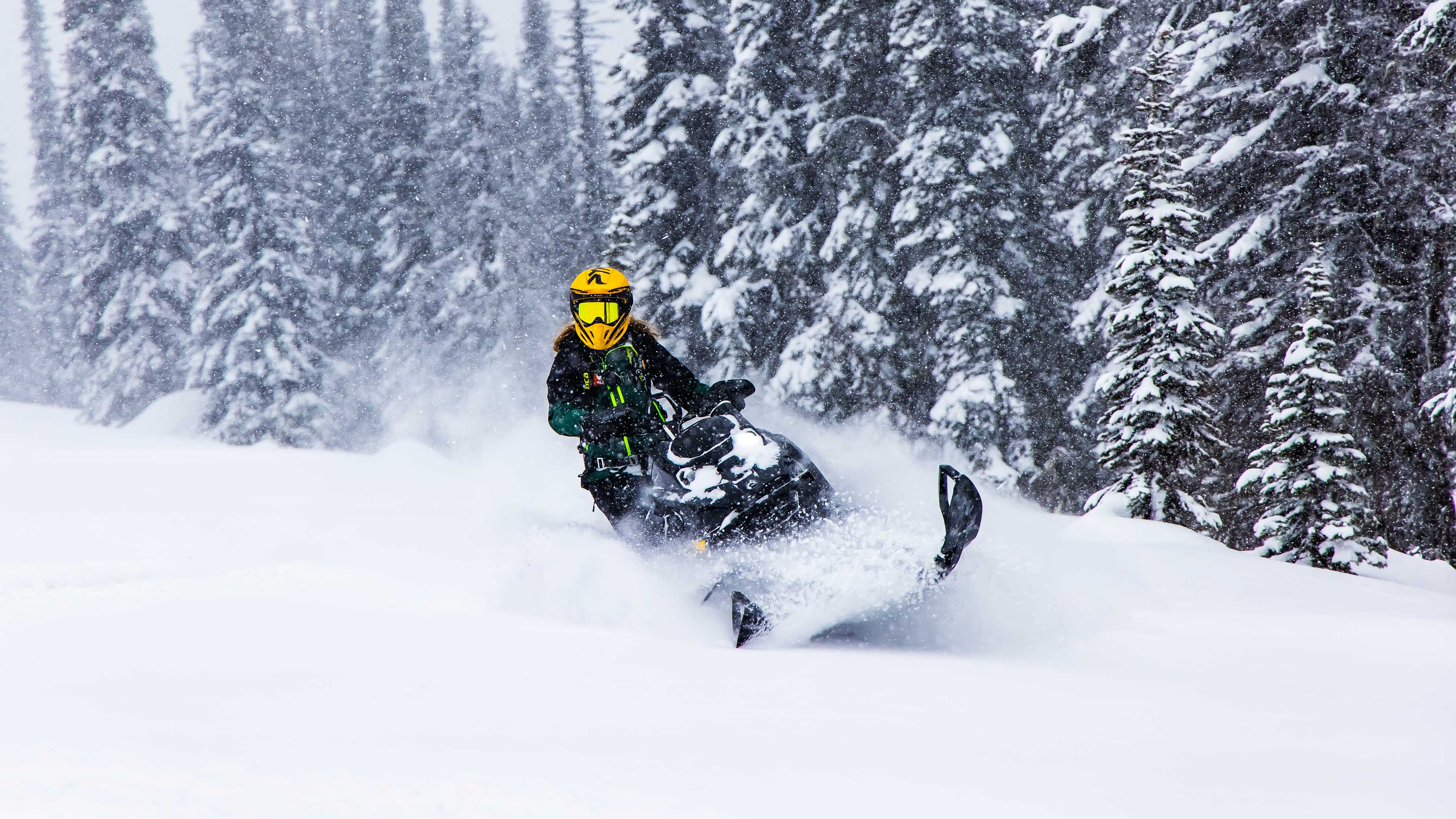 Create your Ski-Doo snowmobile