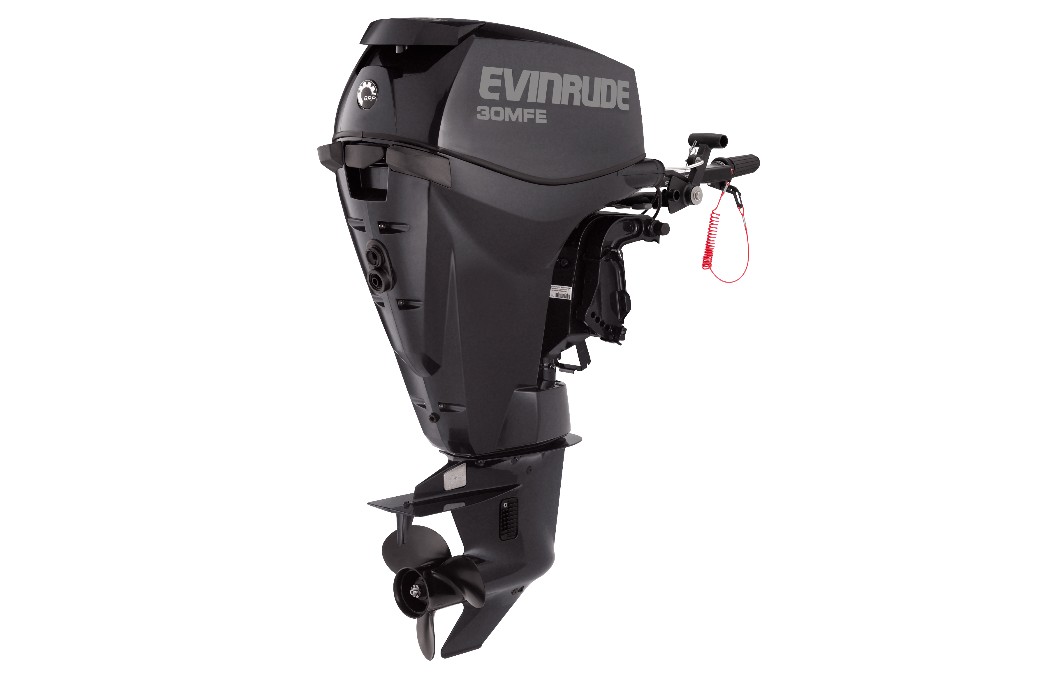 30 Hp Boat Motor by Evinrude