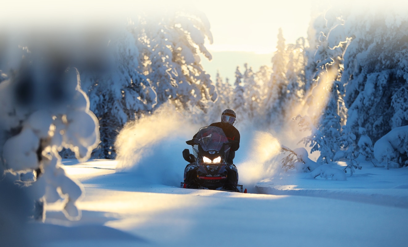 A man is riding his Lynx Commander Snowmobile Model throught the snowy forest at sunset