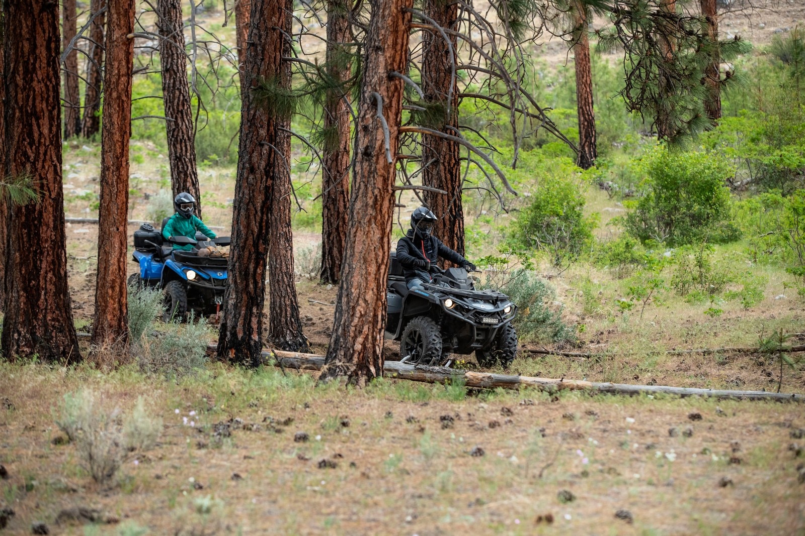 LITRIĆ D.O.O. - ATV safari dan, vožnja s štirikolesniki Can-Am po gozdu, prodajalec Ski&Sea