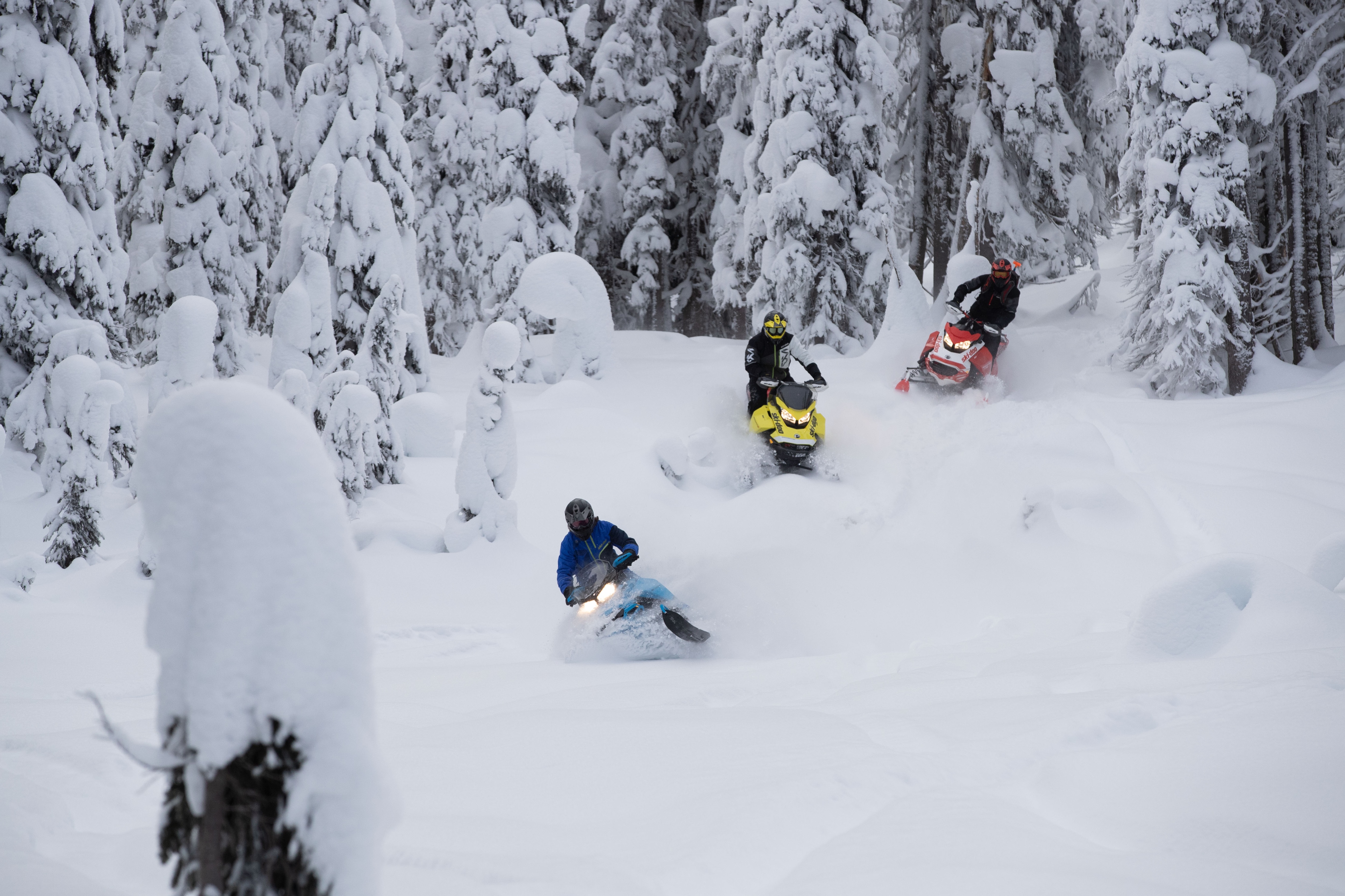 Tre shokë që ngasin një Ski-Doo nëpër dëborë të thellë