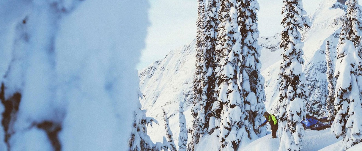 Një pamje e gjerë peisazhi e një njeriu që prek një pishë me dëborë