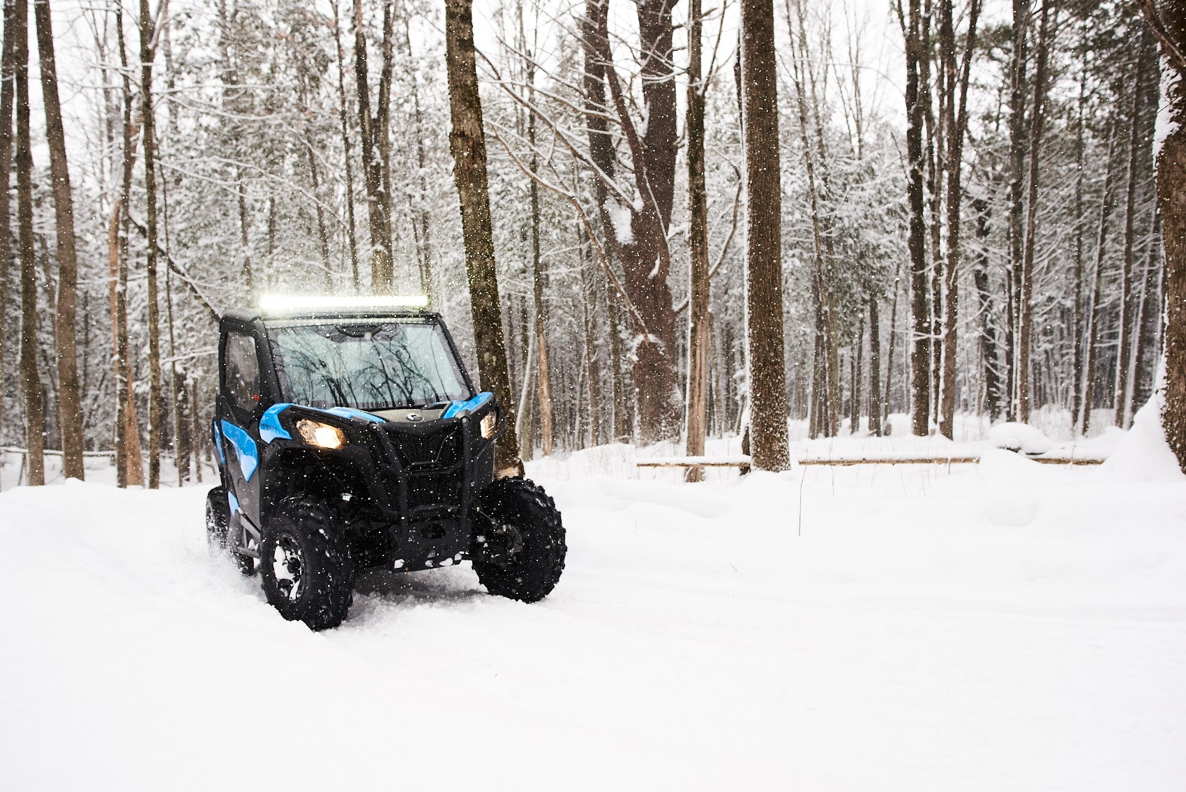 Maverick trail in a snowy trail